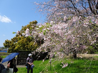 相模川自然の村＿12