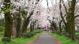 相模川自然の村の春