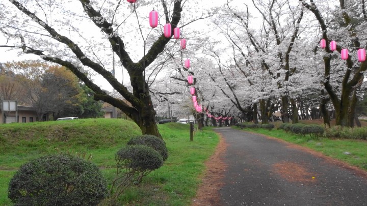 相模川自然の村の春