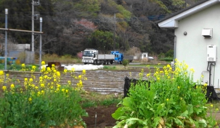 相模川自然の村の春