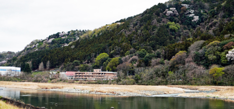相模川自然の村春景色2026年4日　2