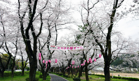 相模川自然の村春景色2026年4日　7